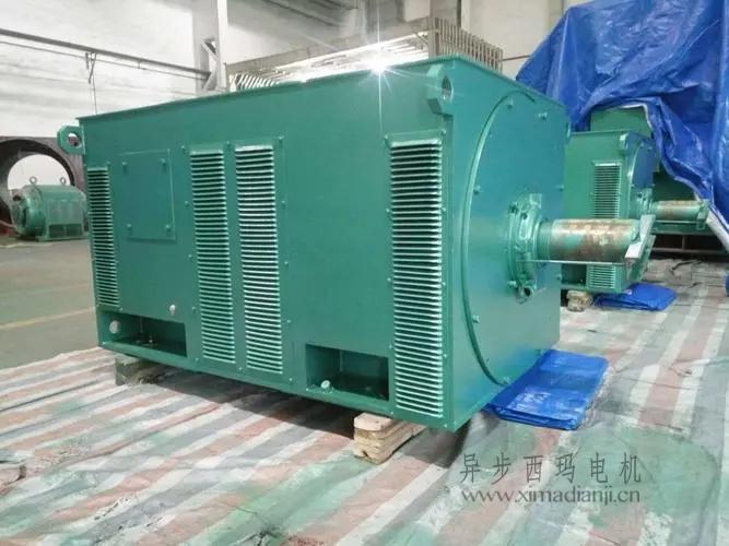 西瑪電機Y5603-10 560KW <a href=http://www.oaxiaochuniang.cn/new/new-47-621.html target='_blank'><a href=http://www.oaxiaochuniang.cn/new_tags_225.html target='_blank'>10kv高壓電機</a></a>